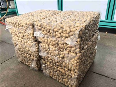 Vietnam Cashew Vacuum Packing 